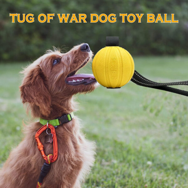 Dog Toy Balls On a Rope for Small Medium Large Dogs Chewers, Durable Interactive Ball for Training Dogs, EVA Foam Ball Floats - Image 2