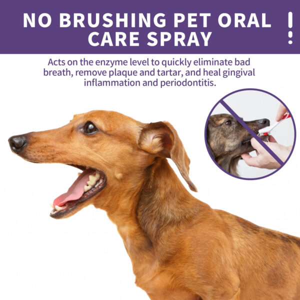 Yegbong Pet Oral Cleaning Spray Dogs Cats Mouth Fresh Deodorant Remove Tartars Bad Breath Removal Health Care Pet Odor Cleaner - Image 4