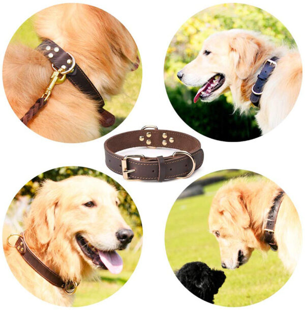 Benepaw Quality Genuine Leather Dog Collar Durable Vintage Heavy-duty Rustproof Double D-Ring Pet Collar For Medium Large Dogs - Image 3