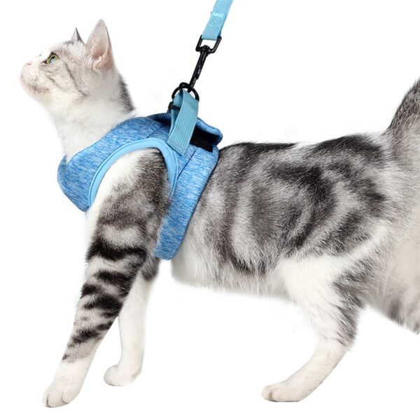 Adjustable Anti-Escape Small Cat Belt Kitten Harness Light Breathable Soft Pet Vest Wiring Harness Traction Belt Kitten Walking - Image 10