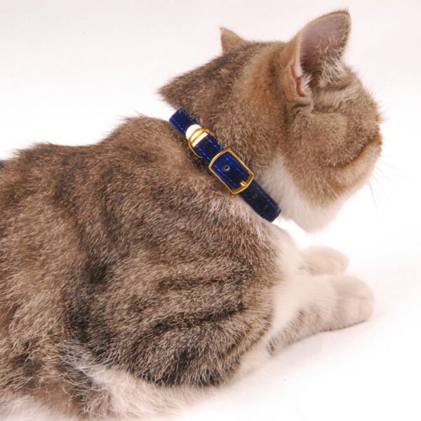 Cat Collar With Bell Safety Cat Collars Puppy Dog Collar For Cats Small Dogs Kittens Solid Pet Collar Chihuahua Products YS0032 - Image 2
