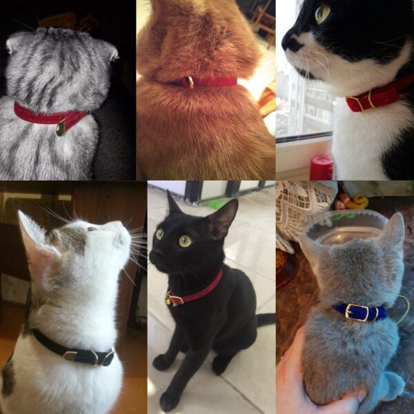 Cat Collar With Bell Safety Cat Collars Puppy Dog Collar For Cats Small Dogs Kittens Solid Pet Collar Chihuahua Products YS0032 - Image 4