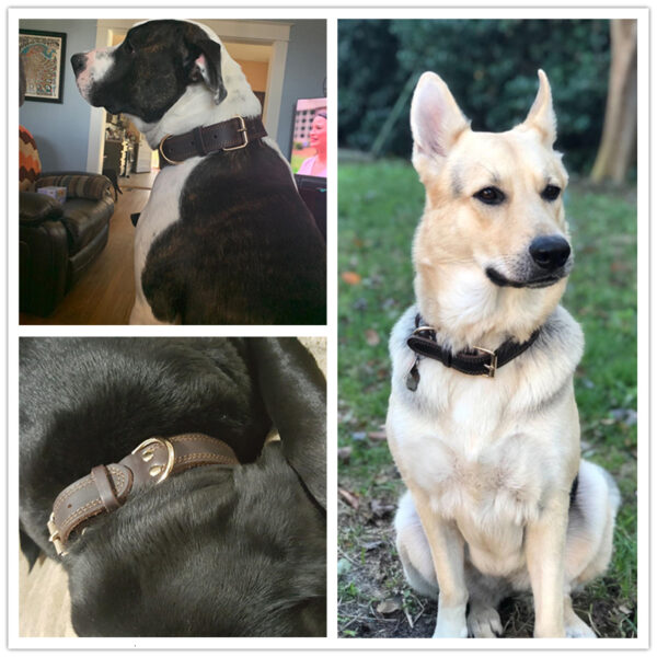 Benepaw Quality Genuine Leather Dog Collar Durable Vintage Heavy-duty Rustproof Double D-Ring Pet Collar For Medium Large Dogs - Image 2