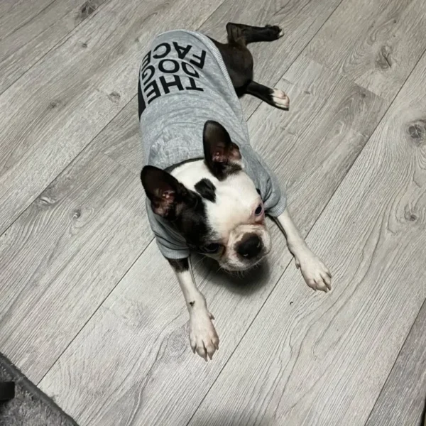 Dog Clothes Hoodies The Dog Face Wind Coat Warm for Small Large Dogs Jacket Sweatshirt French Bulldog Jacket Clothing - Image 5