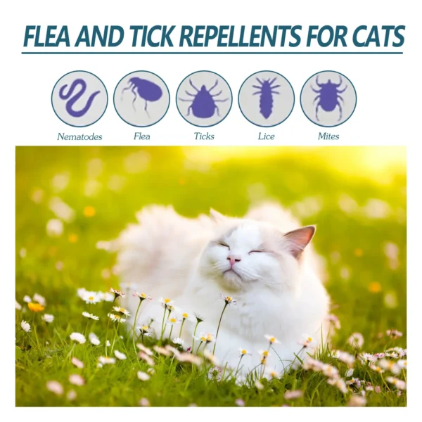 Pet Flea Killer Drops Anti Fleas Cats Ticks Lice Mite Removal Relieve Itching Dogs Ringworm Treatment Pet Insect Removal Drops - Image 2