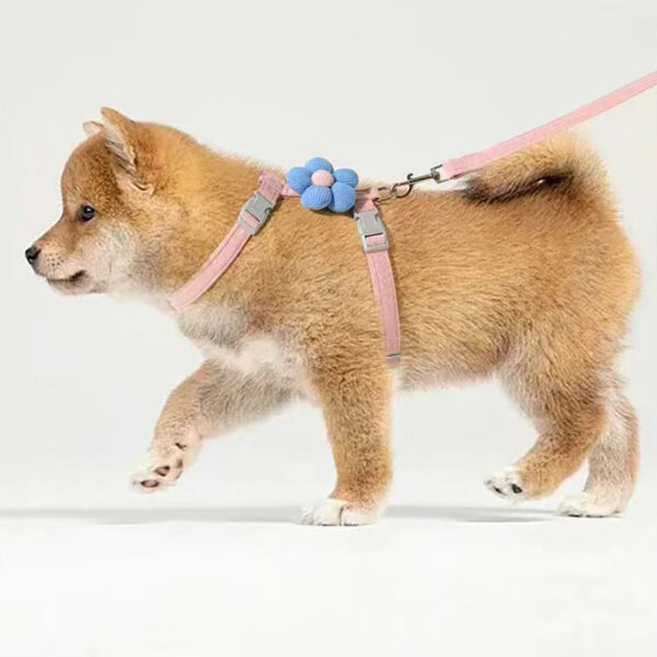 Cat Harness and Leash Sets Adjustable Dog Harness for Small Dog Leash Breashable Pet Harness Out Walking Dog Strap Cat Accessory - Image 5