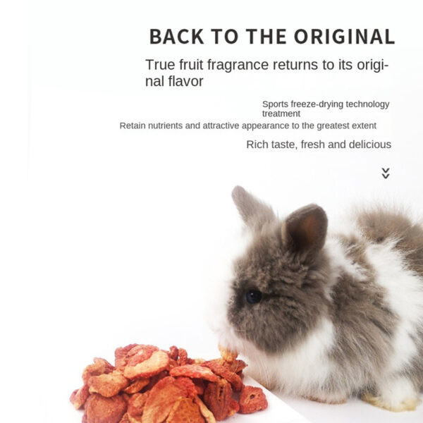 Freeze-dried strawberry grains 60g rabbit chinchilla guinea pig hamster snacks dried strawberry for digestion - Image 4