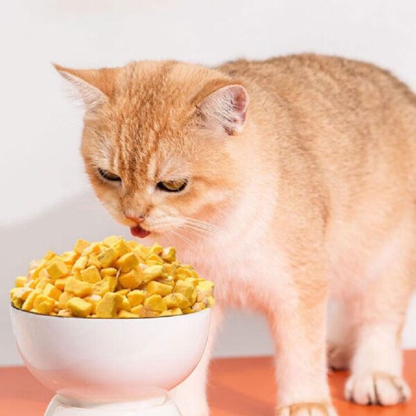 40g Freeze Dried Egg Yolk Granules Beautify Smoothing Freeze-dried Hair Cat To Pet Pets Healthy Food Snacks Cat Safe C7N3 - Image 2
