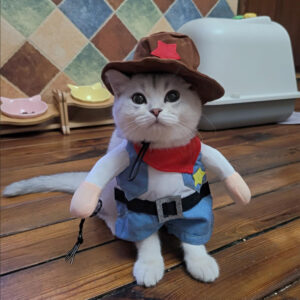 Pet Cat Funny Clothes Cowboy Halloween Cosplay Costume for Small Dog Cats Puppy Creative Novelty Kitten Dress Up Outfits