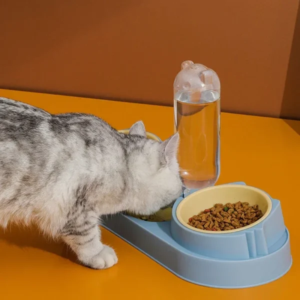 Double Dog Cat Bowls with Water Dispenser Tilted Cat Food Dishes for Indoor Pet Easily Detached Wet and Dry Food Bowl Set - Image 5