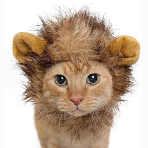 Cat Lion Mane Halloween Costume for Cats Lion Costume for Small Dogs Cats and Kitten Outfits for Halloween Christmas Pet Clothes