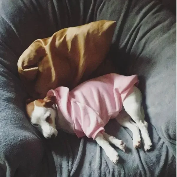 Dog Clothes Hoodies The Dog Face Wind Coat Warm for Small Large Dogs Jacket Sweatshirt French Bulldog Jacket Clothing - Image 3