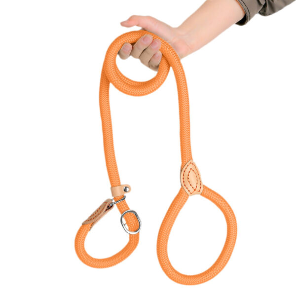 Dog training collar anti riot nylon hand P rope extended thickened unbreakable hand training dog round rope large dog P chain - Image 14