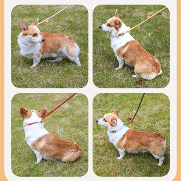 Dog training collar anti riot nylon hand P rope extended thickened unbreakable hand training dog round rope large dog P chain - Image 6
