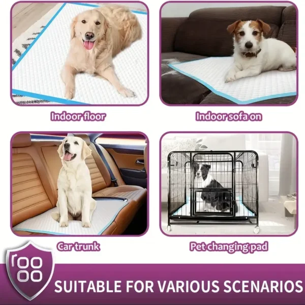 XXL Dog Pee Pads | Various Sizes Of Premium Disposable Dog Training Pads | Super Absorbency | Blue Extra Strength Leak-Proof - Image 2
