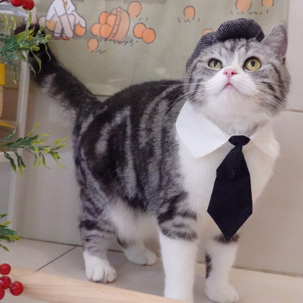 Funny Pet Cat Hat Gentleman's Hat Beret Tie Bathing Blood Gangster Handsome Cosplay Photo Prop Pet Halloween Costume - Image 3