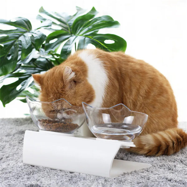 Non-Slip Double Cat Bowl Dog Bowl With Stand Pet Feeding Cat Water Bowl For Cats Food Pet Bowls For Dogs Feeder Product Supplies - Image 2