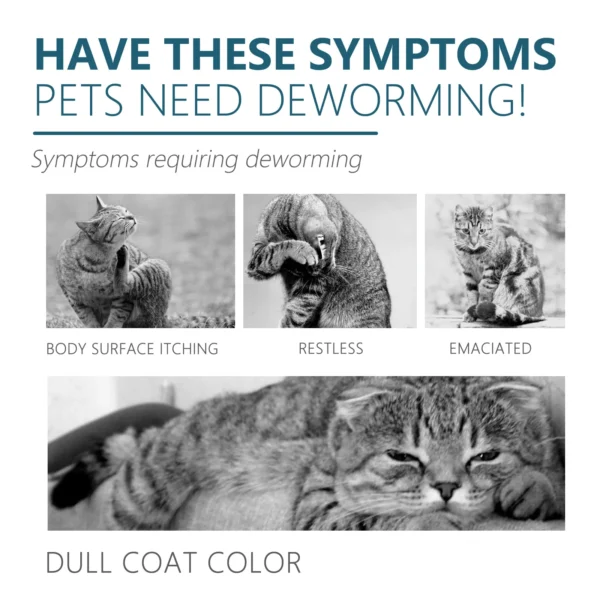 Pet Flea Killer Drops Anti Fleas Cats Ticks Lice Mite Removal Relieve Itching Dogs Ringworm Treatment Pet Insect Removal Drops - Image 5