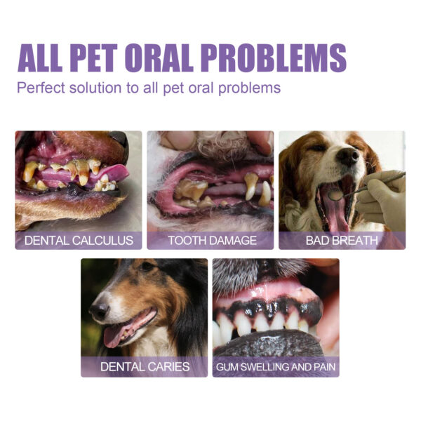 Pet Oral Repair Gel Deep Cleaning Dog Cat Teeth Stain Whitening Teeth Tartar Removing Bad Breath Oral Cleaning Care - Image 2
