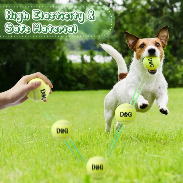 40 Pack Tennis Balls Dog Toys Bulk 2.5 Inch with Carry Bags, Easy Catching Interactive Fetch for Pet Puppy Small Medium Large Do - Image 2