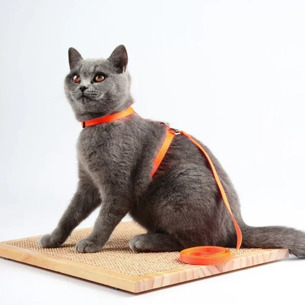 New Cat Collar Harness Leash Adjustable Nylon Pet Traction Cat Kitten Halter Collar Puppy Dog Cat Product Small Pet Harness Belt - Image 2
