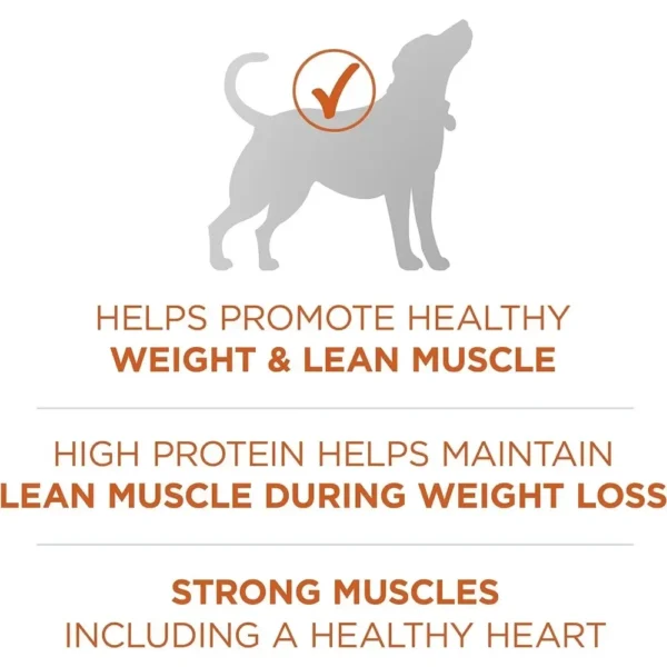 Plus Healthy Weight High-Protein Dog Food Dry Formula - 40 lb. Bag - Image 5