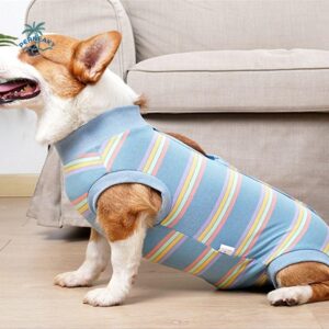 Breathable Dog Surgery Recovery Suit Soft Warm Comfortable Postoperative Clothes Thickened Neuter Anti-Lick Suit