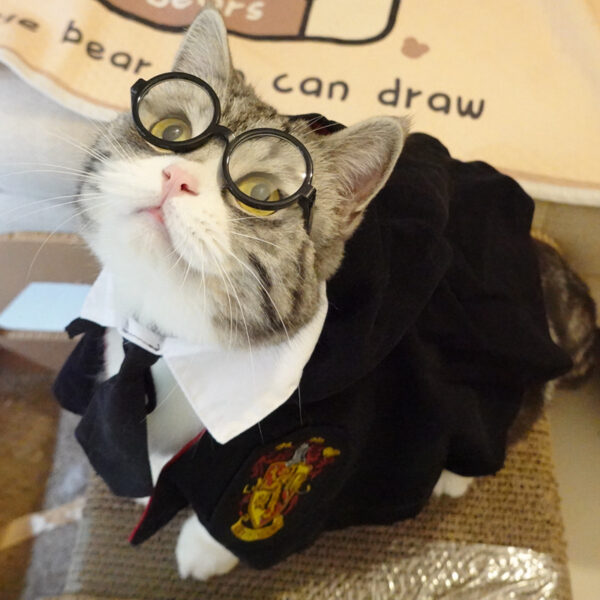 Funny Pet Cat Hat Gentleman's Hat Beret Tie Bathing Blood Gangster Handsome Cosplay Photo Prop Pet Halloween Costume - Image 4
