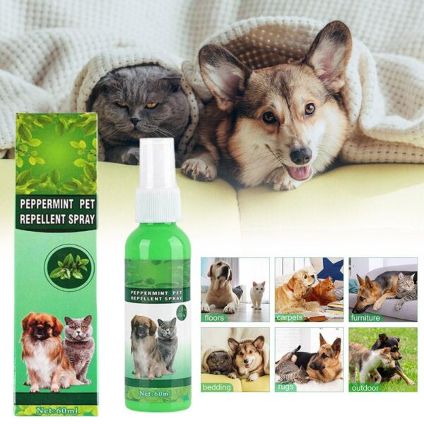 60ml Pet Pest Spray Pet Dog Anti-flea Mites Ticks Drops Kitten Pest Treatment Treatment Flea Puppy Kitten Puppy Spray M2n1 - Image 3