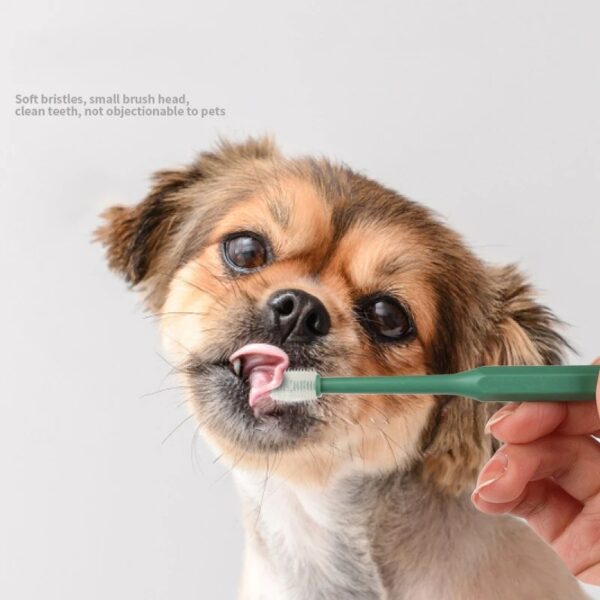 360 Degrees Pet Toothbrush Cat Brush Addition Bad Breath Tartar Teeth Care Dog Cat Cleaning Mouth Dog Cat Cleaning Supplies - Image 3