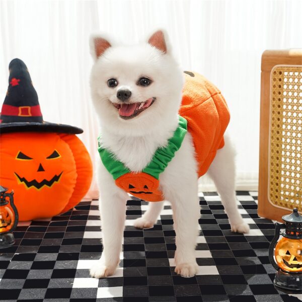Halloween Pumpkin Lantern Dog Clothes Transformation Costume Cosplay Funny Cat Teddy Dog Special Events Apparel Comical Outfits - Image 4