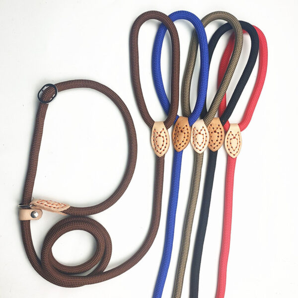 Dog training collar anti riot nylon hand P rope extended thickened unbreakable hand training dog round rope large dog P chain - Image 5