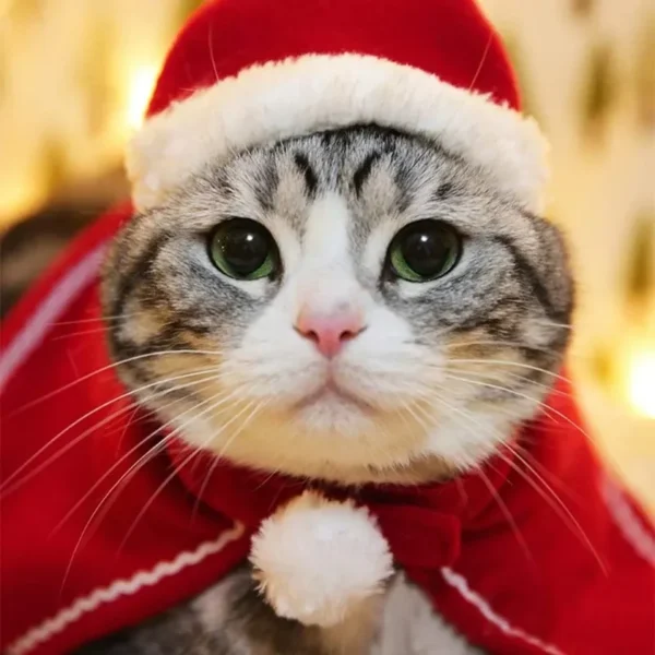 Christmas Cat Cloak Scarf Dog Pet Cosplay Costume Xmas Kitten Plush Santa Hat Funny Birthday Party Mantle Dress Up Apparel - Image 4