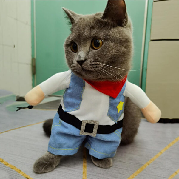 Funny Pet Cat Cosplay Costumes for Small Medium Cats Dogs Party Dressed Up Kitten Halloween Cozy Novelty Clothing Bulldog French - Image 5