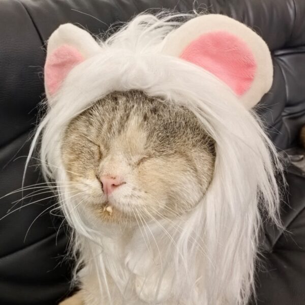 Cat Costume Cute Lion Mane Cat Wig Hat Cosplay Clothes Cap Dress Up Puppy Kitten Halloween Christmas Party Decoration Supplies - Image 4