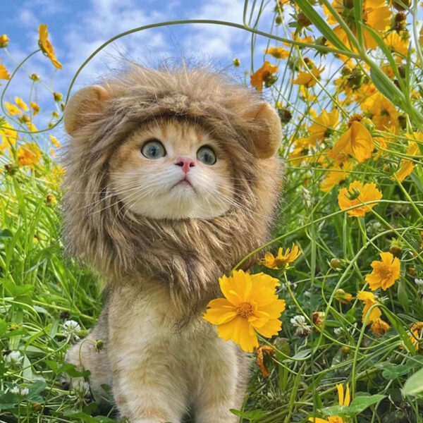 Cat Lion Mane Halloween Costume for Cats Lion Costume for Small Dogs Cats and Kitten Outfits for Halloween Christmas Pet Clothes - Image 5