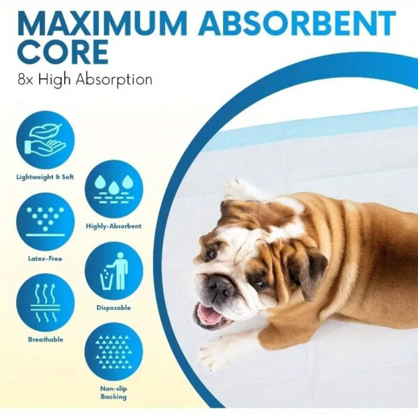 100/50/40PCS Dog Pee Pads with Leak-Proof Quick-Dry Design for Potty Training Absorbent Puppy Diapers Disposable Dogs Supplies - Image 5