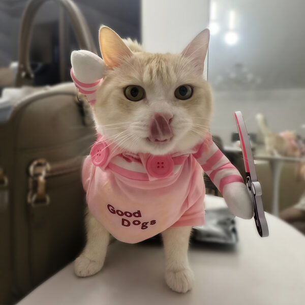 Cute Pet Cats Halloween Costume For Small Medium Large Dogs Funny Puppy Kitten Cosplay Clothes Chihuahua Sphynx Cat Dress Up - Image 2