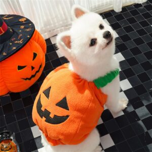Halloween Pumpkin Lantern Dog Clothes Transformation Costume Cosplay Funny Cat Teddy Dog Special Events Apparel Comical Outfits