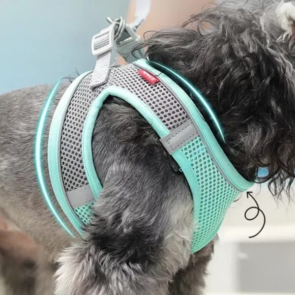 Puppy Harness Set Dog Accessories Adjustable Puppy and Cat Harness Vest French Bulldog Chihuahua Small Dog Collar Pet Leash Dogs - Image 2