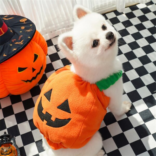 Halloween Pumpkin Lantern Dog Clothes Transformation Costume Cosplay Funny Cat Teddy Dog Special Events Apparel Comical Outfits - Image 7