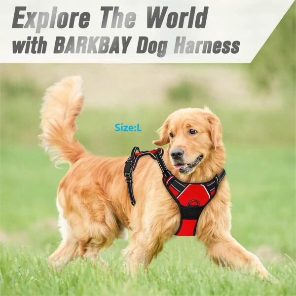 Dog Collars Harness Big Vests Leash Pet Shop Everything for Dogs Leather Puppy Accessories Medium Small Set - Image 3
