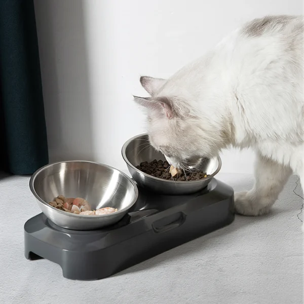 PETWAN Raised Cat Bowl Stainless Steel,Non-Slip Silicone Mat&Raised Cat Feeder with 15°&0°Tilting Neck Protective Bowl for Pets - Image 3