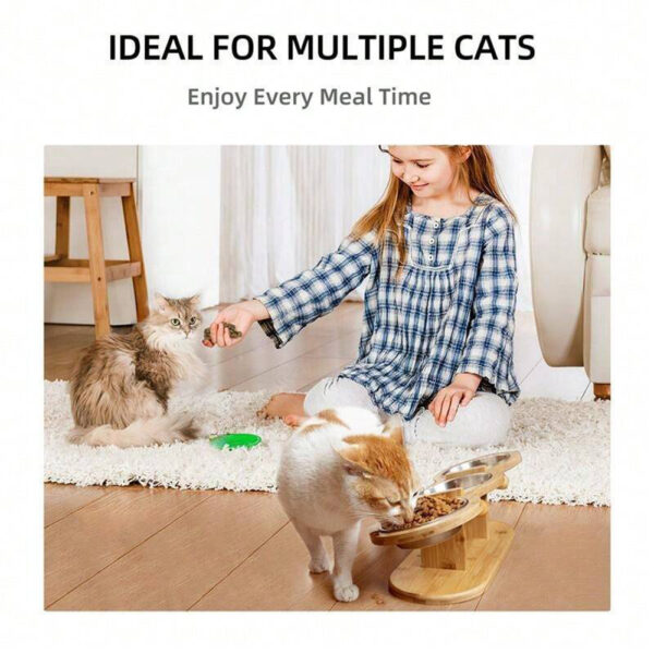 Cat 3 Bowls in 1 Feeder Feeding & Watering Supplies Food Bowl 15-Degree Tilt Raised Puppy 3 Stainless Steel Bowls Wood Brackets - Image 6
