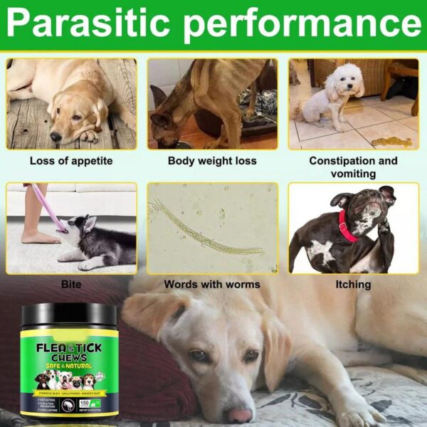 Flea Pills For Dogs Puppy Supplement For Gnat Multifunctional Chewable Quick Facting Flea Prevention Supplement For All Dogs - Image 4