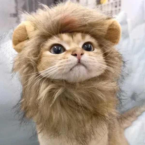 Cat Cosplay Dress Up Pet Hat Lion Mane for Cat Puppy Lion Wig Costume Party Decoration Halloween Christmas GatosPet Supplies - Image 3