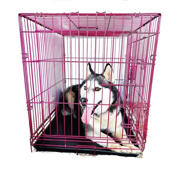 Pet Expressions Luxury Colorful 36 H Foldable Dog Crate With 2 Doors | Free Training Ebook And Pet Calming Music | 3 Colors & - Image 2