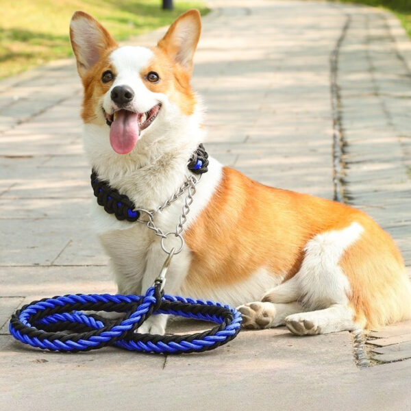 Nylon Dog Collar Leash Set Colored Woven Traction Rope Adjustable Dog Collars for Dogs Training and Walking - Image 2
