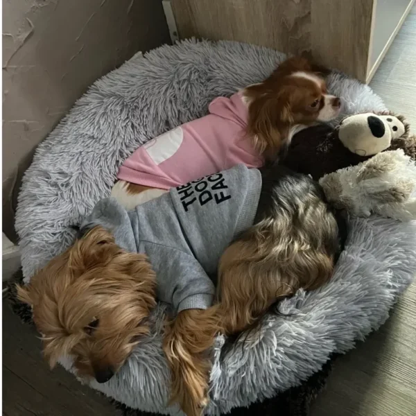 Dog Clothes Hoodies The Dog Face Wind Coat Warm for Small Large Dogs Jacket Sweatshirt French Bulldog Jacket Clothing - Image 2