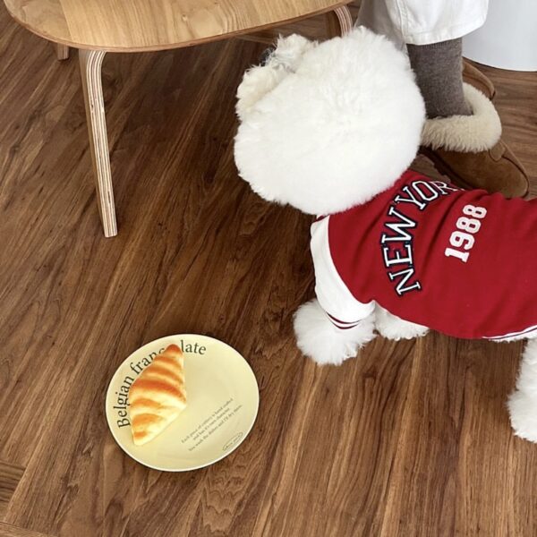 Fashion Winter Pet Baseball Clothes Suit Dog Contrasting Coat Teddy Bear Universal Small Dog Clothes Design Puppy Clothing - Image 2